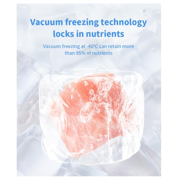 Lyophilizer 2300W замораживания вакуума домочадца небольшой более сухой для корма для домашних животных 220v мяса плода