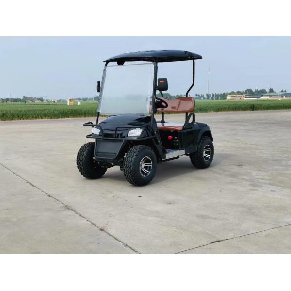 Off-road 2 Seater Golf Buggy Rechargeable Good Quality Golf Sightseeing Car