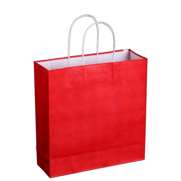 Kraft Paper J Cut Paper Bag Red Twist Handle Paper Carrier Bags For Clothing