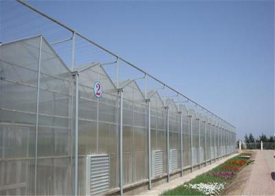 High Transparency PC Sheet Greenhouse Large Size Good Heat Preservation Performance