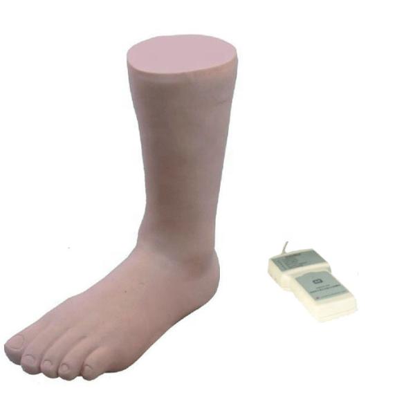 Realistic Human Simulation Manikin Ankle Joint Injection Training Model with Control Box