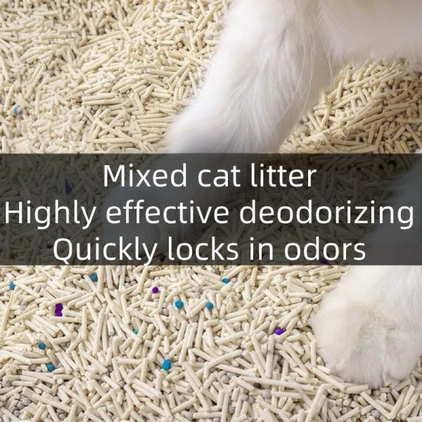 Litter de chat mixte hautement absorbant Litter de sable en masse durable