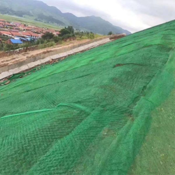 Durable Plastic Geonet for Highway Subgrade Reinforcement Crack Prevention and Load Distribution