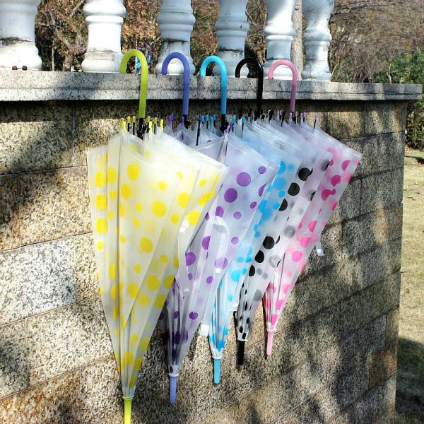 Plastic Creative Small Fresh Long Handle Transparent Umbrella with Auto Open Function