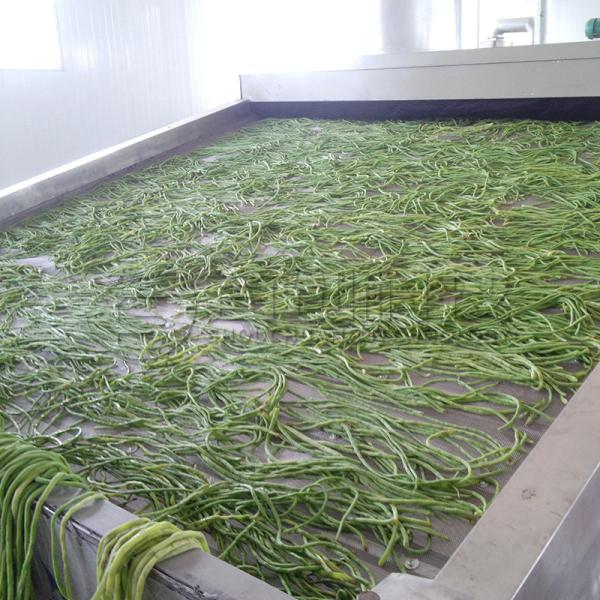 Automatic Vegetable Continuous Belt Dryer Cowpea Artichokes Drying Machine
