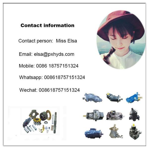 Durable A2FM32 Hydraulic Piston Motor for Hoisting Machinery and Paver Concrete Mixer