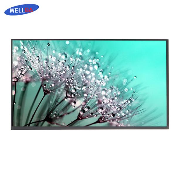 13,3 разрешение модуля дисплея дюйма TFT высокое с интерфейсом eDP1.2