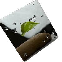 feuille superbe titanique noire d'acier inoxydable du miroir 8K 316 316L de 1219mm pour la décoration d'hôtel