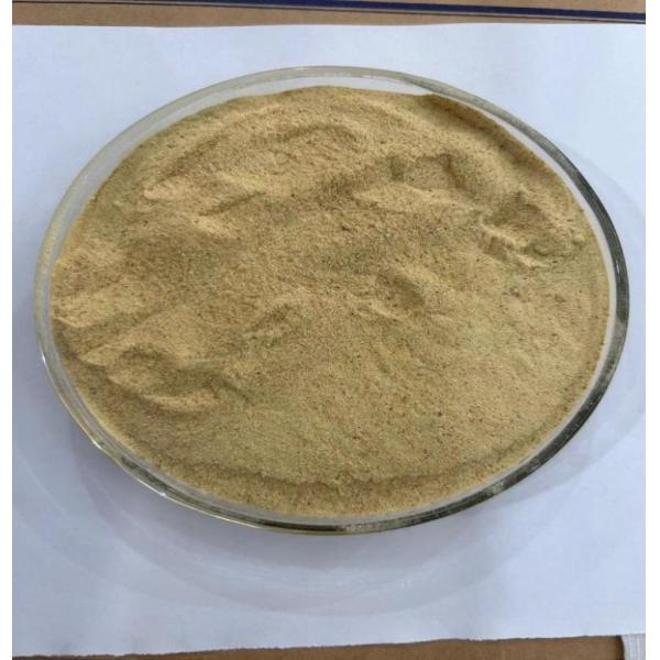 Leveduras para alimentação animal com alta proteína real