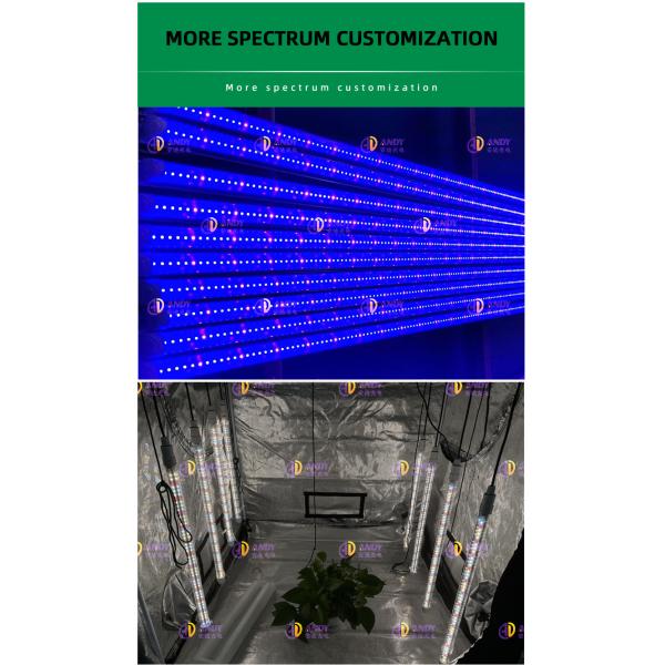 18W 25W 36W 42W 4Ft Led Tube T8 Grow Light SAMSUNG LM301H EVO LM281B 6500K 460nm 660nm For Veg Bloom