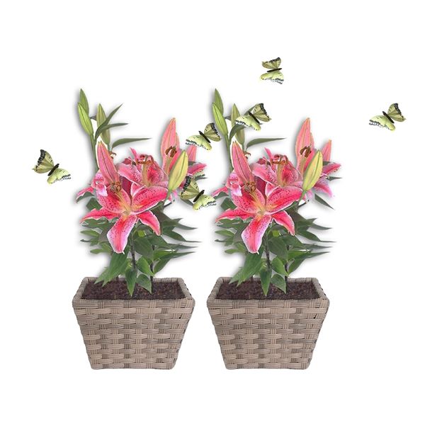 Metal Frame PE Wicker Plastic Pots Artificial Woven Home Garden Plant Pots