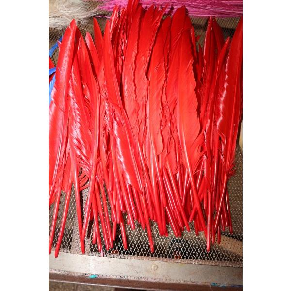 Valentine's Day Millinery Supplies Turkey Feather Quill for Worldwide Shipping