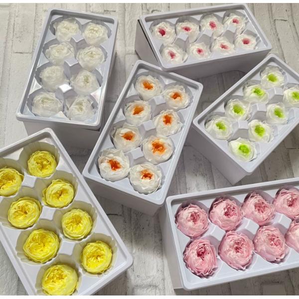 Eternal Rose Austin 8 pièces, cadeau haut de gamme matériaux de bricolage, fleurs séchées en gros, bulles de chocolat