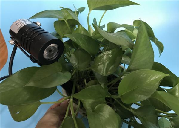 Projetores exteriores do diodo emissor de luz IP65 com alojamento de alumínio de fundição da cor preta para a iluminação do jardim
