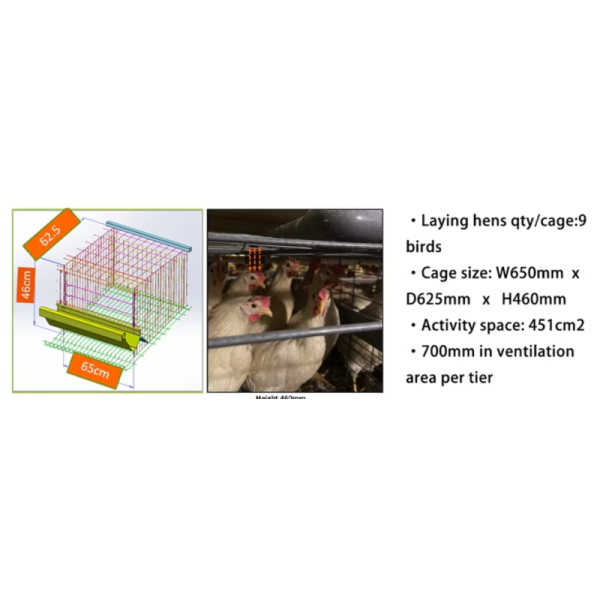 Hot-Dip Galvanized Steel Automatic Chicken Cage with 15-20 Year Lifespan and Automated Feeding System