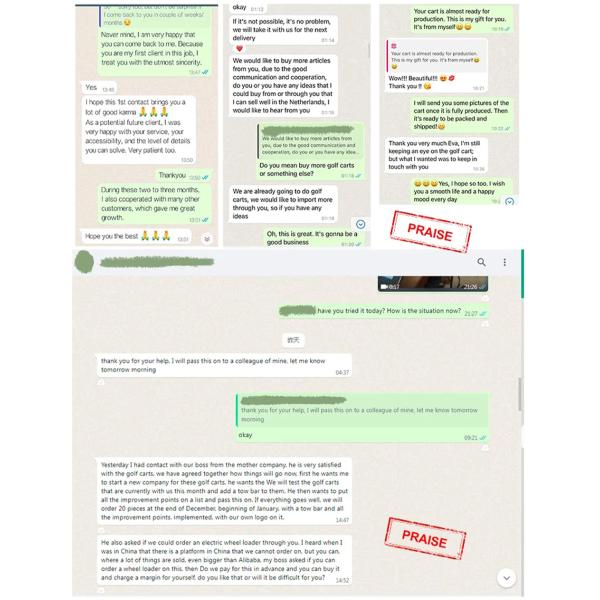 48V LiFePO4 Battery Electric Golf Cart Vehicle Luxury 4 Seater Scooter for Sal