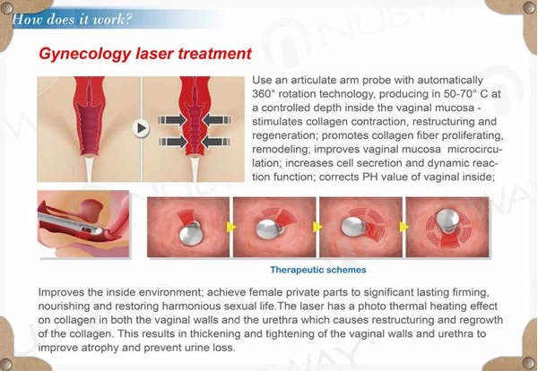 Clinic CO2 Fractional Laser Equipment 40W Stationary Style For Beauty
