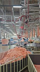 Jiangyin Fengrui Textile Technology Co., Ltd.