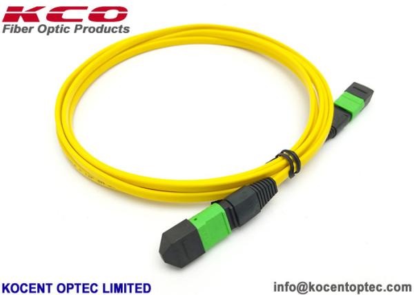 Modo G657A2 da fibra do núcleo 12 do cabo de remendo 8 do amarelo MPO MTP de LSZH único personalizado comprimento