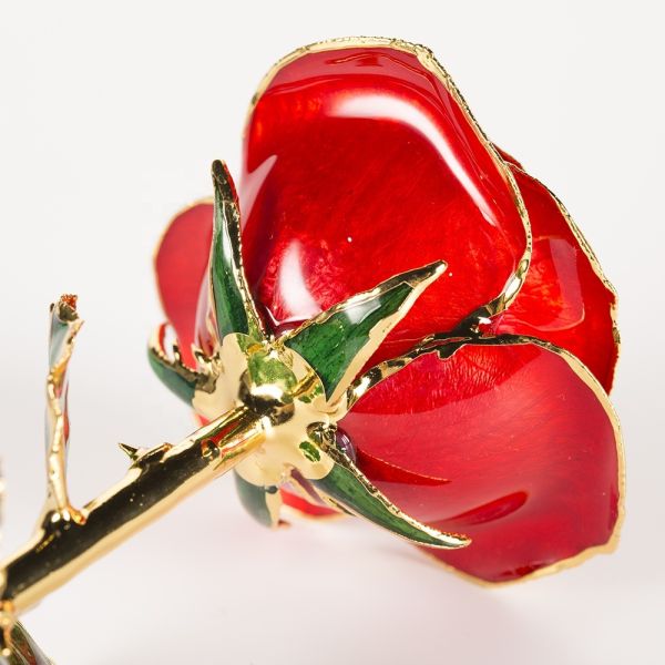 Hot 24K Gold Plated Real Natural Rose Manufacture Directly Supply  Gold Dipped Rose  for Valentines Day  Gift Wholesale