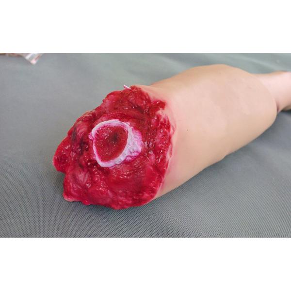 Purple Horn Medical Training Models / First Aid Manikins Trauma Accessories Module