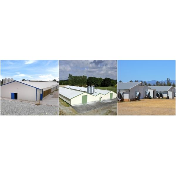 Off Site Steel Structure Prefabricated Poultry House Chicken Shed Workshop