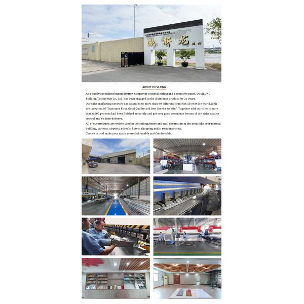 Guangzhou Ousilong Building Technology Co., Ltd