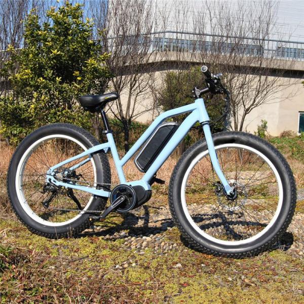 1:1 PAS Electric Fat Tire Mountain Bike Light Blue Color 48V 15A Controller
