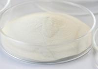 Enzyme amylolytique en poudre pour une plage de pH de 4,5 à 6,5 dans divers procédés de fabrication
