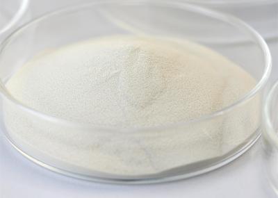 Powder Amylolytic Enzyme for PH Range 4.5-6.5 in Various Manufacturing Processes