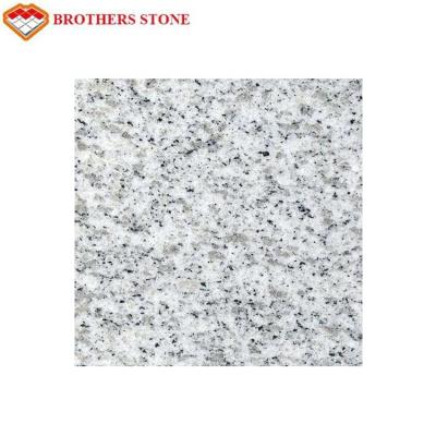 Custom Size Sesame White Granite Stone Tiles 0.28% Water Absorption