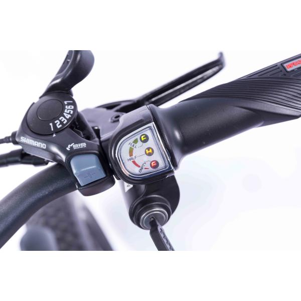 7 Speed Fat Tires Electric Bike 36V 10Ah Removable Lithium Ion Battery 350W Motor