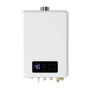 Stainless Steel Housing Home Gas Water Heater Energy Efficient Durable Construction