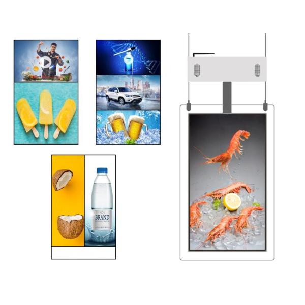 Double Sided 500cd/m2 43