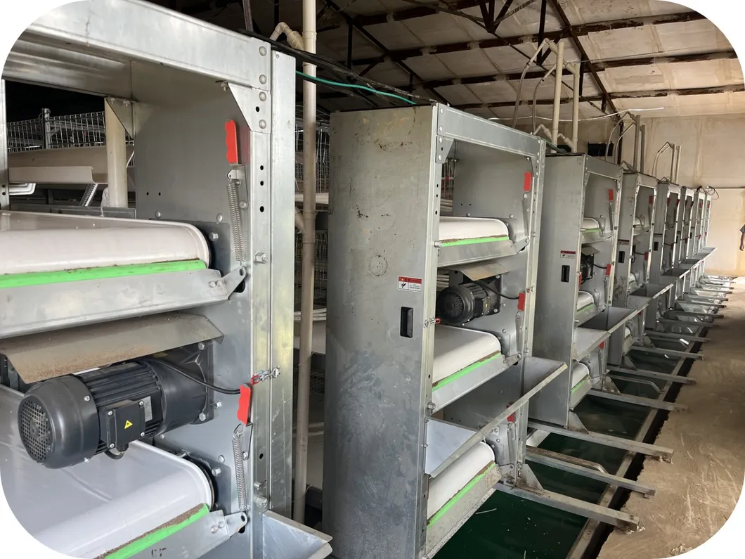 Galvanized Poultry Farm Equipment H Type Battery Cage For Broiler And Layer Chickens