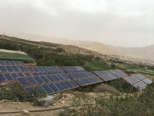 TRIPLE Output  3 Phase Solar Pump Inverter For Banana Farm Irrigation