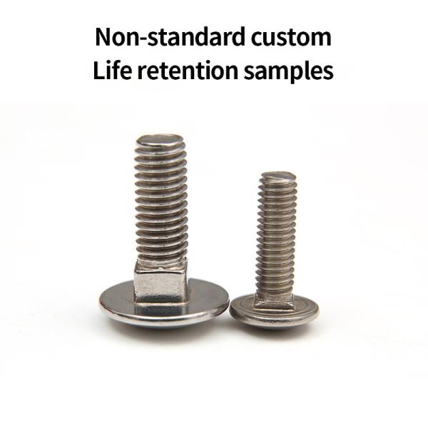 Stainless steel carriage square neck screws bolt