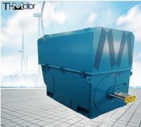 400kw à 6000kw 3 moteurs à induction à haute tension asynchrones de phase 6KV 10KV IP55