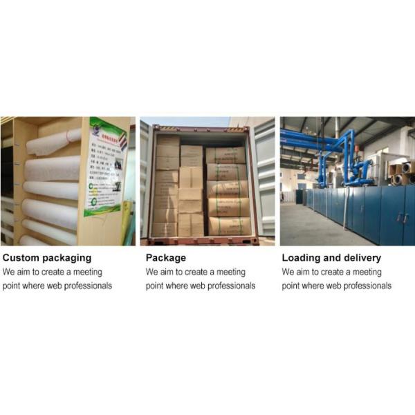 20-80GSM 100% Polyester Double Dot Nonwoven Fusing Interlining Fabric