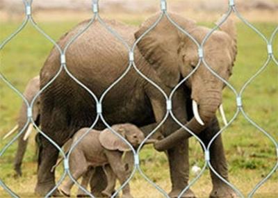 AISI 304 Animal Fence Netting 316 Stainless Steel Diamond Mesh For Zoo