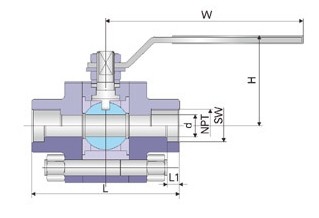 Reduced Bore Soft Seated Ball Valve F316L , 800LB Small Forged Ball Valve