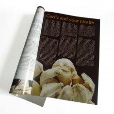 Papier blanc de carte, blanc avec le papier gris de carton, magazines du commerce d'impression de papier spécial