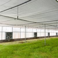 Hot Sale Factory Direct Sales Greenhouse Pipe Galvanized Steel Pipe For Multi Span Greenhouse