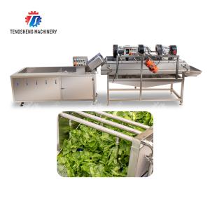 Bubble washing vibration air drying production line Orange Vegetable Herbs Fruit