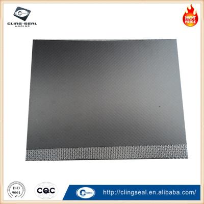 Plaques de joints de graphite résistantes à l'abrasion pour une utilisation à long terme