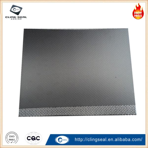 Plaques de joints de graphite résistantes à l'abrasion pour une utilisation à long terme