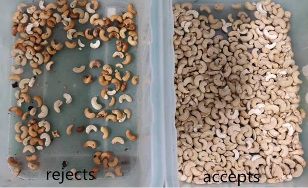 64 Chute Cashew Nut Color Sorter High Capacity