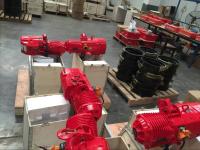 50t moulage par extrusion de levage à chaînes de grue de la capacité G80 pour des entrepôts