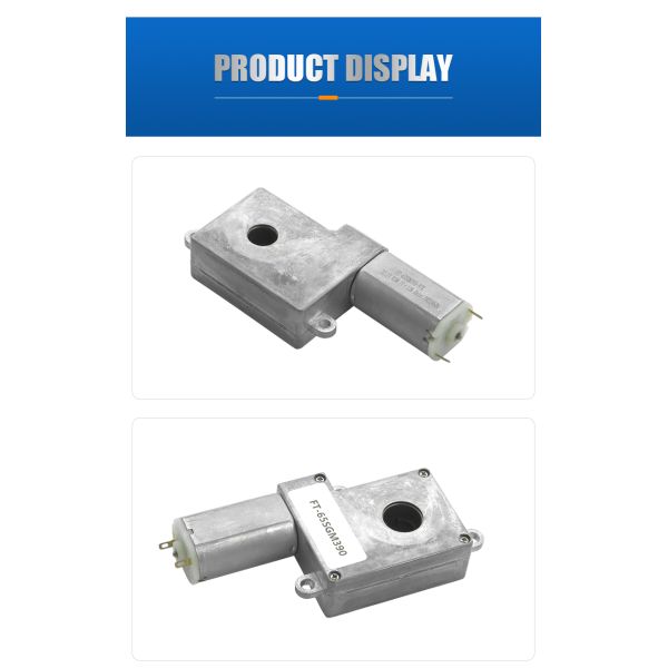 FT-65SGM390 Worm Geared Motor 24V 12V DC Gear Motor for Intelligence Door Lock