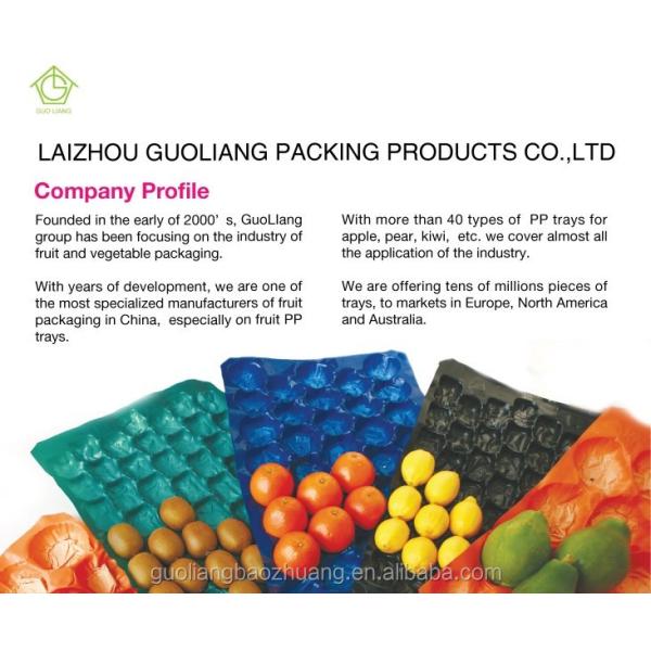 Persimmon Tray,Square Holes,popular in Israel, South Africa